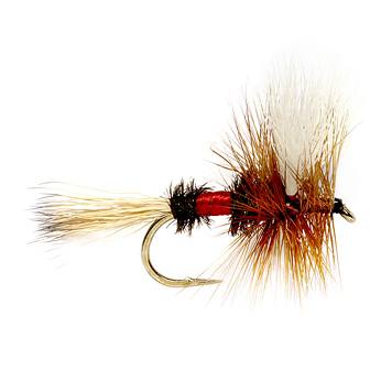 Cutthroat Chronicles: How to select the right flies for winter