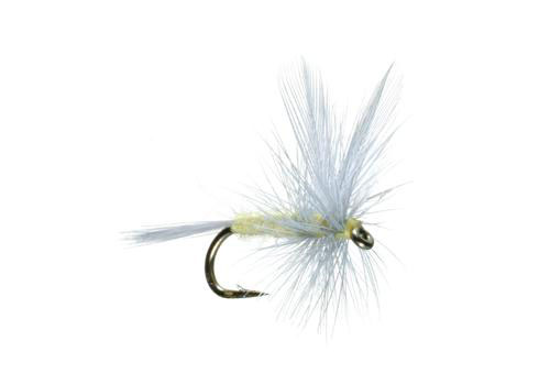 Cutthroat Chronicles: The Best Dry Flies of All Time - Part 2 