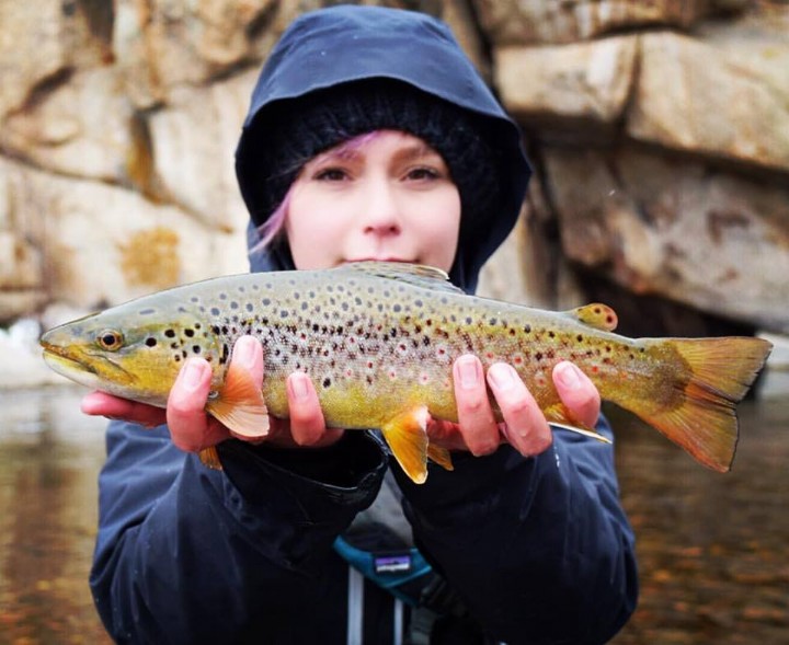 A blog about fishing in Utah.  Just another WordPress.com weblog