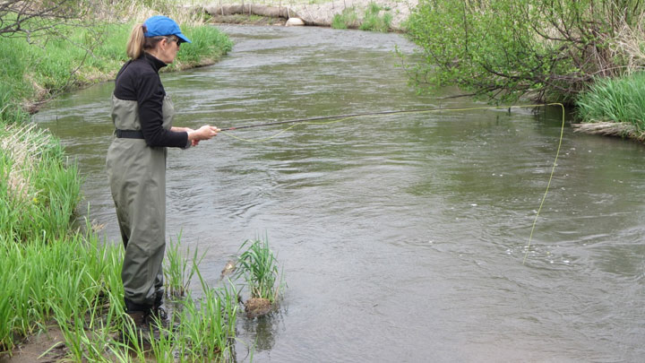 Going Foot-to-Fin: Prying Trout Out of the Woods in Small Streams