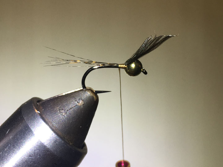Fly Tying Tutorial: Perdigon Nymphs 