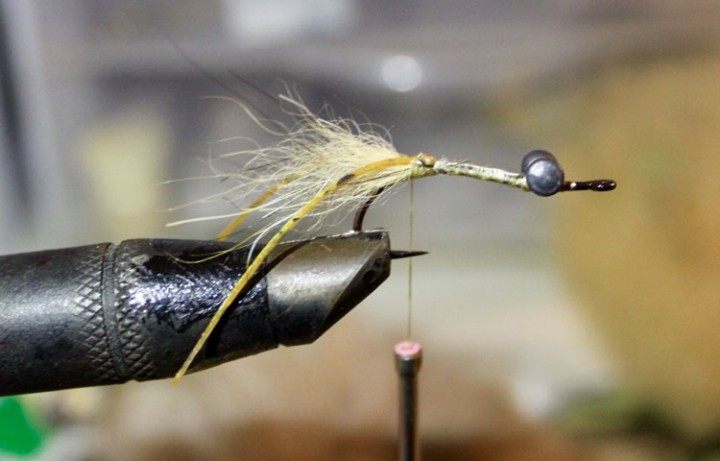 Fly Tying Tutorial : Mini Mantis Shrimp 
