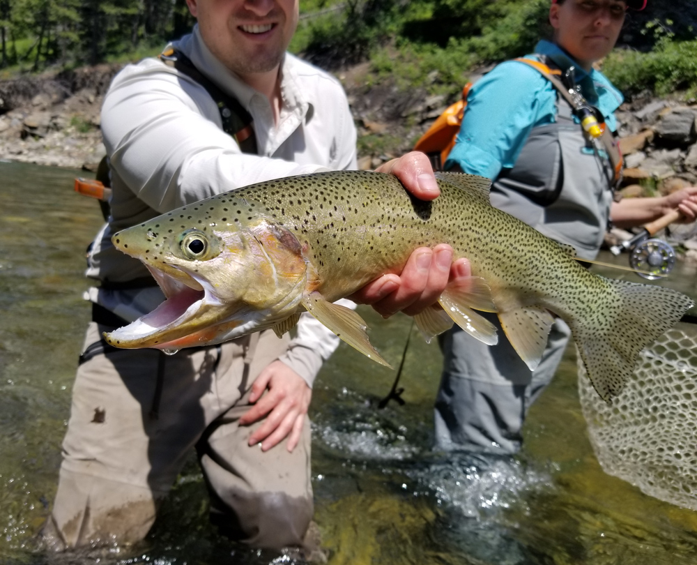 FLY FISHING COLORADO  a little extra split shot goes a long way! 