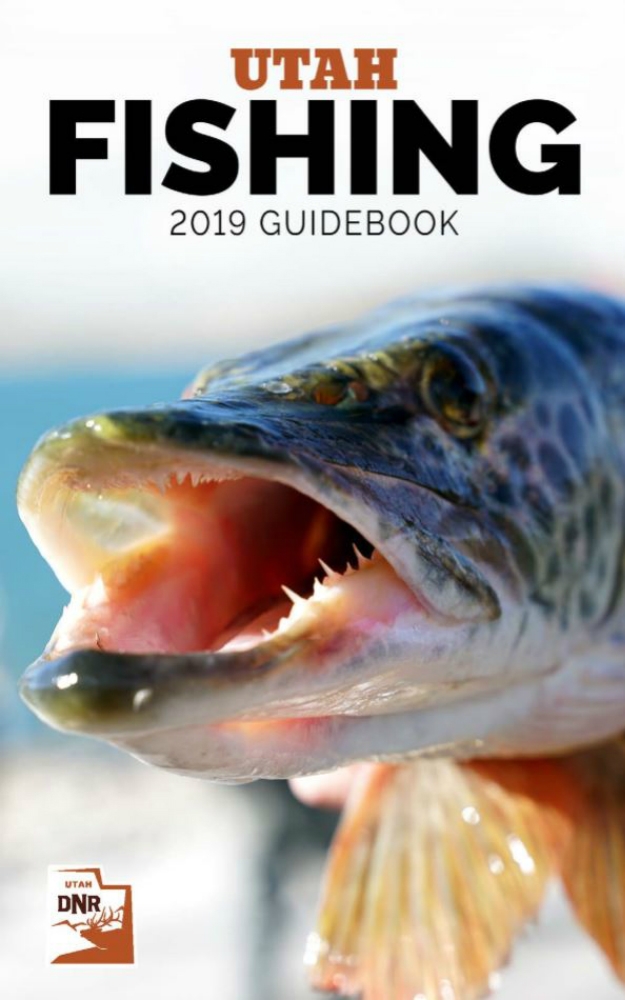 Fly Fishing Etiquette: Part 2 - blog.fishwest.com