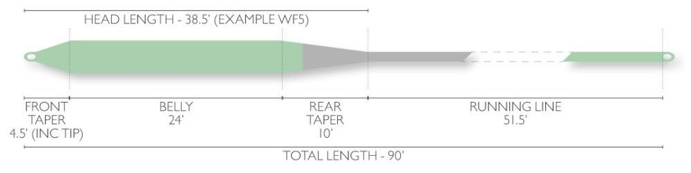 The Fly Line Nerd Out - Part 2: Weight Forward Tapers - blog