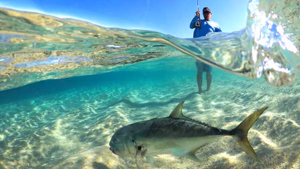 EHRG0361574.jpg EHRG0361574.jpg