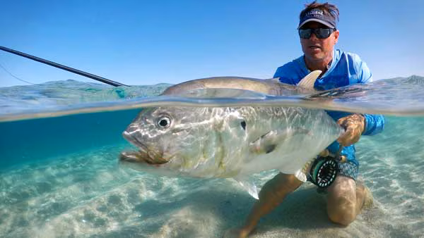 LRG0461667.jpg LRG0461667.jpg