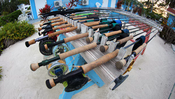 cpft004_image_08.jpg cpft004_image_08.jpg